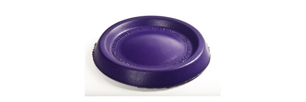 Frisbee-Scheiben