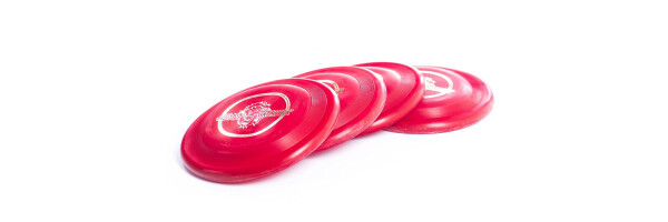 Dog Frisbee